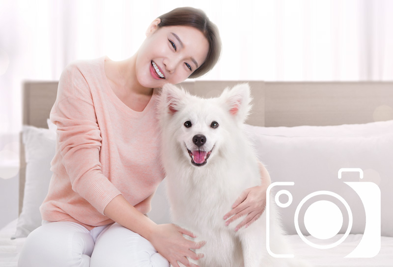 펫스튜디오